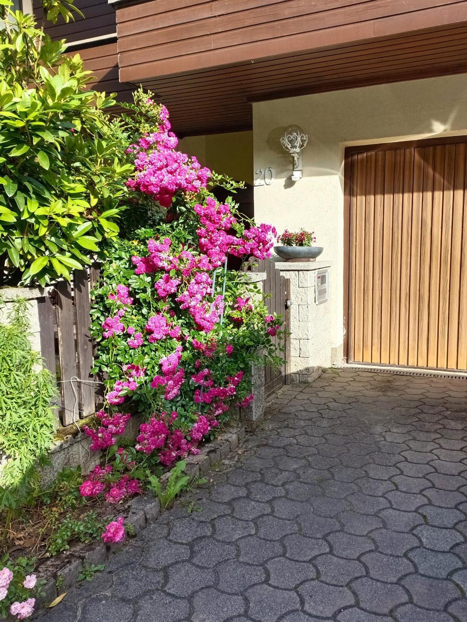 Apartment Haus Flora - *